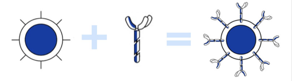 Screenshot 2024 07 09 at 9.14.15 a.m.